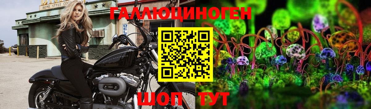 Архангельск  Галлюциногенные грибы Psilocybine cubensis  Вход с VPN 