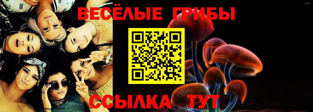 Галлюциногенные грибы Cubensis Архангельск